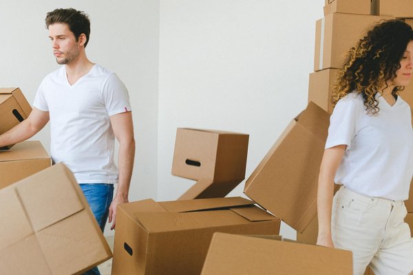 Matériel de brosserie pour un nettoyage efficace et professionnel